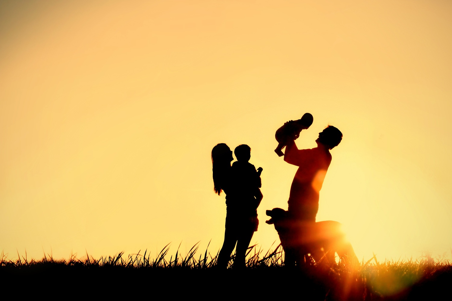 Silhouette Of Happy Family And Dog