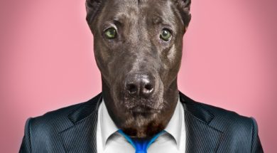 Portrait of a dog in a business suit