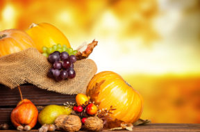 Seasonal harvested agriculture products in wooden box with blur