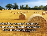 Hay bail harvesting in golden field landscape