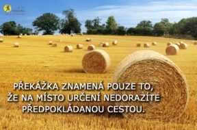 Hay bail harvesting in golden field landscape