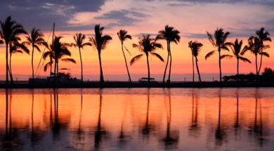 Paradise beach sunset or sunrise with tropical palm trees. Summe